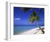 Palm-lined Beach on the Island of Bandos, North Male Atoll, Maldives-null-Framed Art Print