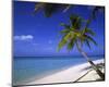 Palm-lined Beach on the Island of Bandos, North Male Atoll, Maldives-null-Mounted Art Print