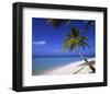 Palm-lined Beach on the Island of Bandos, North Male Atoll, Maldives-null-Framed Art Print