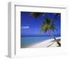 Palm-lined Beach on the Island of Bandos, North Male Atoll, Maldives-null-Framed Art Print