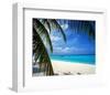 Palm-lined Beach on the Island of Bandos, North Male Atoll, Maldives-null-Framed Art Print