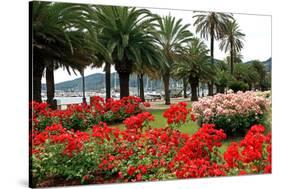 Palm-lined Promenade at the Gulf, City of La Spezia, Italian Riviera, Liguria, Italy-null-Stretched Canvas