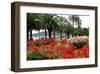 Palm-lined Promenade at the Gulf, City of La Spezia, Italian Riviera, Liguria, Italy-null-Framed Art Print