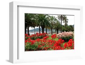 Palm-lined Promenade at the Gulf, City of La Spezia, Italian Riviera, Liguria, Italy-null-Framed Art Print