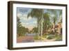 Palm-Lined Street, Orlando, Florida-null-Framed Art Print