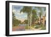 Palm-Lined Street, Orlando, Florida-null-Framed Art Print