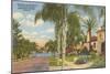 Palm-Lined Street, Orlando, Florida-null-Mounted Art Print