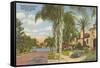 Palm-Lined Street, Orlando, Florida-null-Framed Stretched Canvas