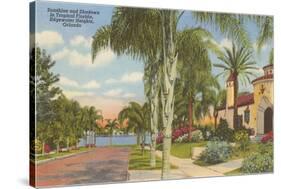 Palm-Lined Street, Orlando, Florida-null-Stretched Canvas