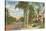 Palm-Lined Street, Orlando, Florida-null-Stretched Canvas