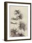 Palm (litho)-European School-Framed Giclee Print