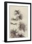 Palm (litho)-European School-Framed Giclee Print