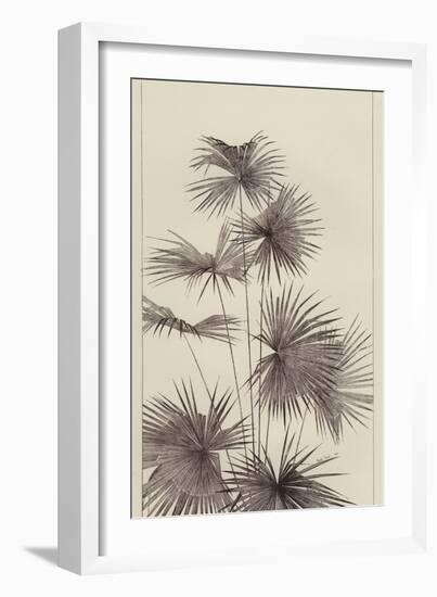 Palm (litho)-European School-Framed Giclee Print