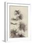 Palm (litho)-European School-Framed Giclee Print