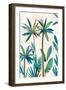 Palm Oasis I-Aria K-Framed Art Print