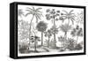 Palm Oasis III-Wild Apple Portfolio-Framed Stretched Canvas