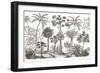 Palm Oasis III-Wild Apple Portfolio-Framed Art Print