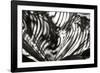 Palm of Shadows-Alan Hausenflock-Framed Photographic Print