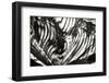 Palm of Shadows-Alan Hausenflock-Framed Photographic Print