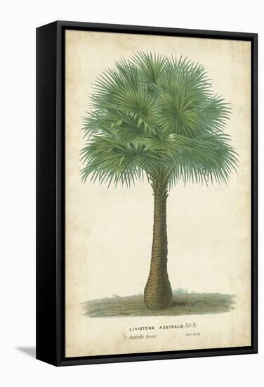 Palm of the Tropics I-Horto Van Houtteano-Framed Stretched Canvas