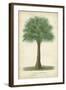 Palm of the Tropics I-Horto Van Houtteano-Framed Art Print