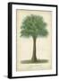 Palm of the Tropics I-Horto Van Houtteano-Framed Art Print