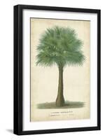 Palm of the Tropics I-Horto Van Houtteano-Framed Art Print