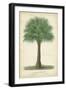 Palm of the Tropics I-Horto Van Houtteano-Framed Art Print