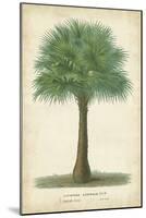 Palm of the Tropics I-Horto Van Houtteano-Mounted Art Print