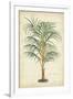 Palm of the Tropics III-Horto Van Houtteano-Framed Art Print