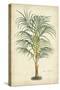 Palm of the Tropics III-Horto Van Houtteano-Stretched Canvas