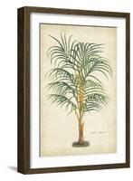 Palm of the Tropics III-Horto Van Houtteano-Framed Art Print