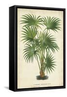 Palm of the Tropics IV-Horto Van Houtteano-Framed Stretched Canvas