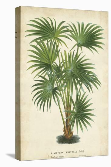 Palm of the Tropics IV-Horto Van Houtteano-Stretched Canvas
