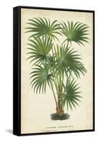 Palm of the Tropics IV-Horto Van Houtteano-Framed Stretched Canvas