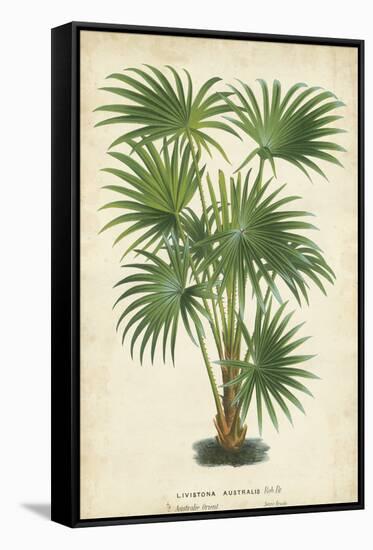 Palm of the Tropics IV-Horto Van Houtteano-Framed Stretched Canvas