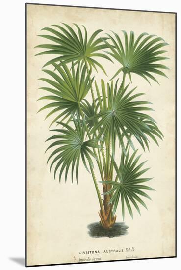 Palm of the Tropics IV-Horto Van Houtteano-Mounted Art Print