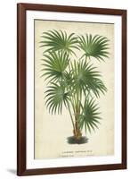 Palm of the Tropics IV-Horto Van Houtteano-Framed Art Print