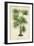 Palm of the Tropics IV-Horto Van Houtteano-Framed Art Print