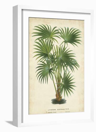 Palm of the Tropics IV-Horto Van Houtteano-Framed Art Print