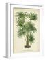 Palm of the Tropics IV-Horto Van Houtteano-Framed Art Print