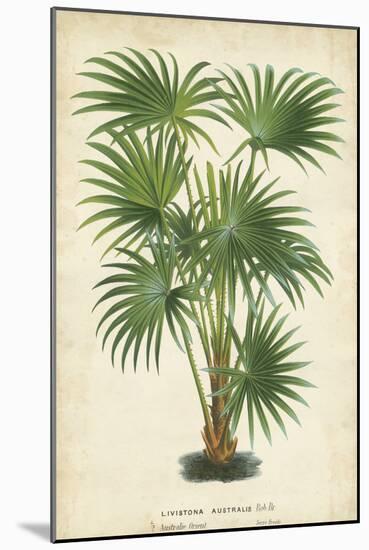 Palm of the Tropics IV-Horto Van Houtteano-Mounted Art Print