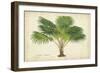 Palm of the Tropics V-Horto Van Houtteano-Framed Premium Giclee Print
