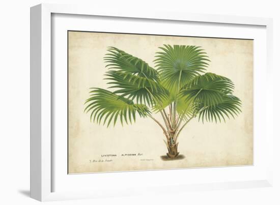 Palm of the Tropics V-Horto Van Houtteano-Framed Premium Giclee Print