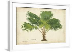 Palm of the Tropics V-Horto Van Houtteano-Framed Art Print