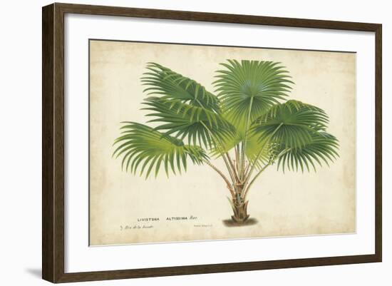 Palm of the Tropics V-Horto Van Houtteano-Framed Art Print