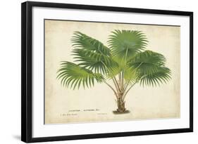 Palm of the Tropics V-Horto Van Houtteano-Framed Art Print