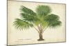 Palm of the Tropics V-Horto Van Houtteano-Mounted Art Print