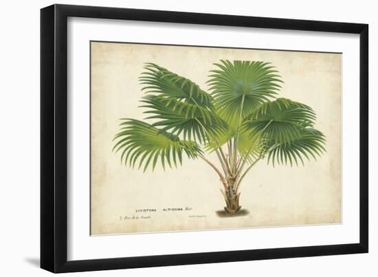 Palm of the Tropics V-Horto Van Houtteano-Framed Art Print