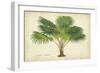 Palm of the Tropics V-Horto Van Houtteano-Framed Art Print